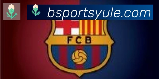 Bsports官网合作伙伴