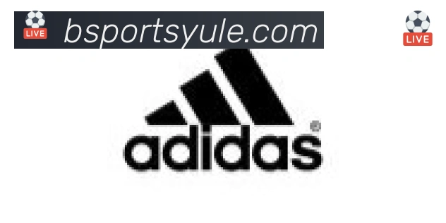 Bsports官网合作伙伴